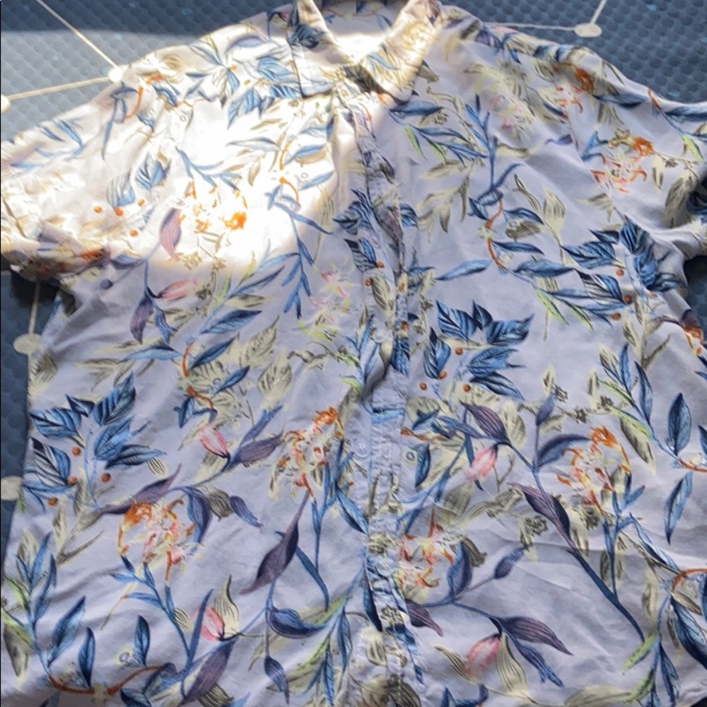 Blue Jay Button Up